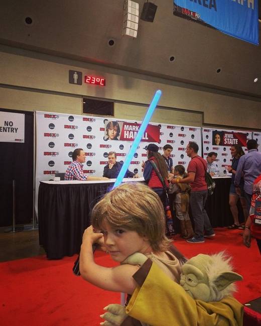 Mark Hamill tudja, hogy ebben a kölyökben meg vannak a midikloriánok.