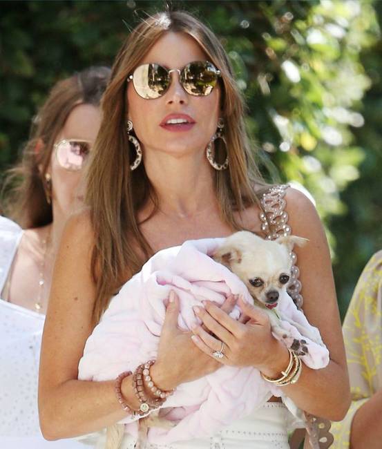 Sofia Vergara