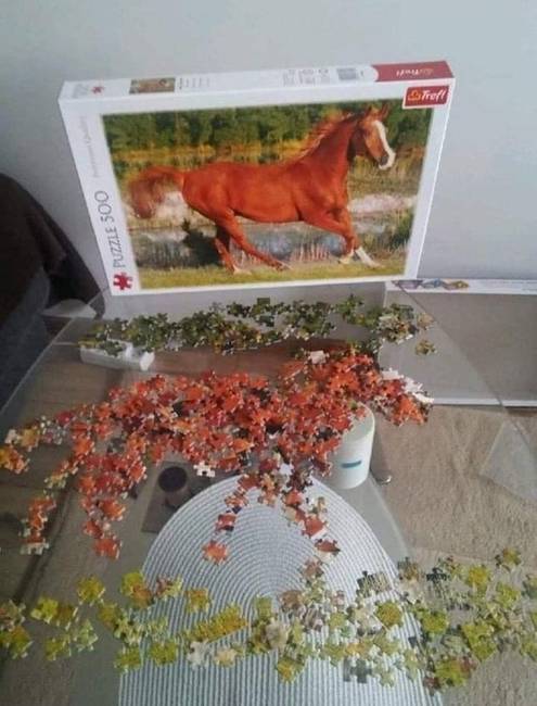 „Ezzel a puzzle összerakása befejeződött."