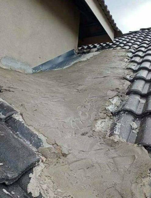 1636964255 1611649550 1 26