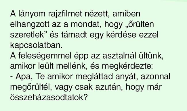 Házas őrület