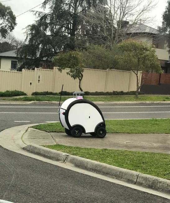 „Előttem ment át az úton. Melbourne, Ausztrália"