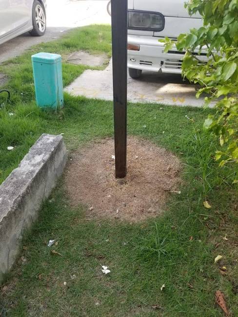 „Hogyan égette ki az elektromosság a füvemet."