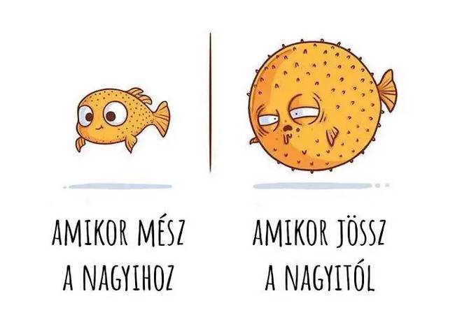 15 gúnyos emberi szokás, a leghétköznapibb tárgyaink segítségével illusztrálva