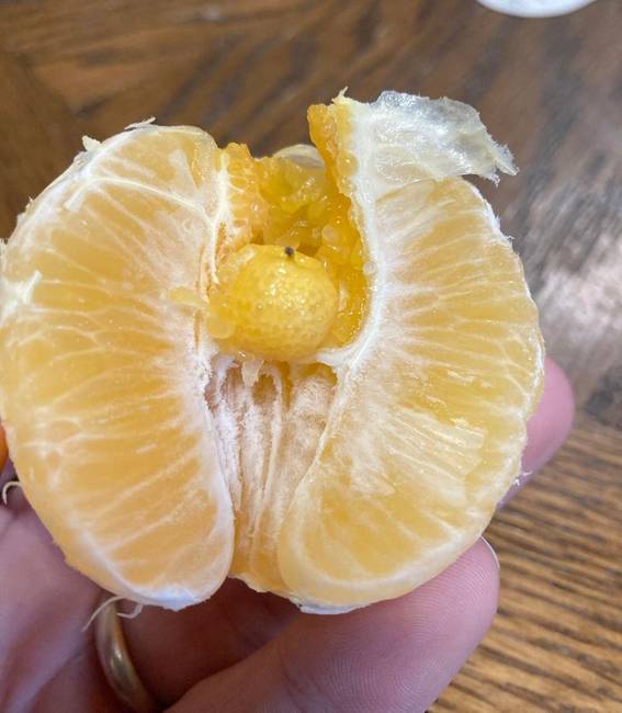 „Ez az én mandarinom és a gyermeke."