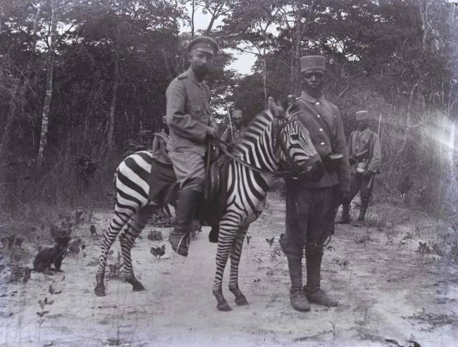 Zebragoló emberek 011