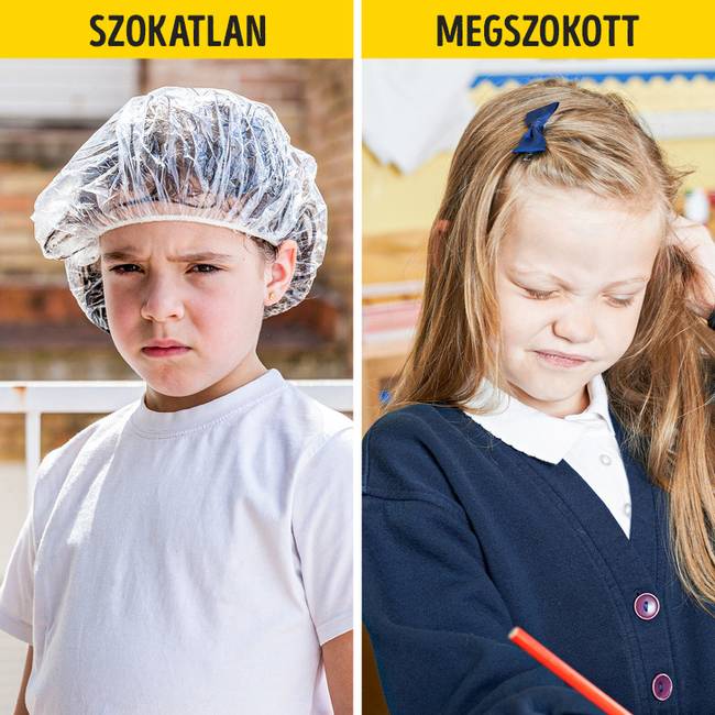 Dánok és a tetvesség