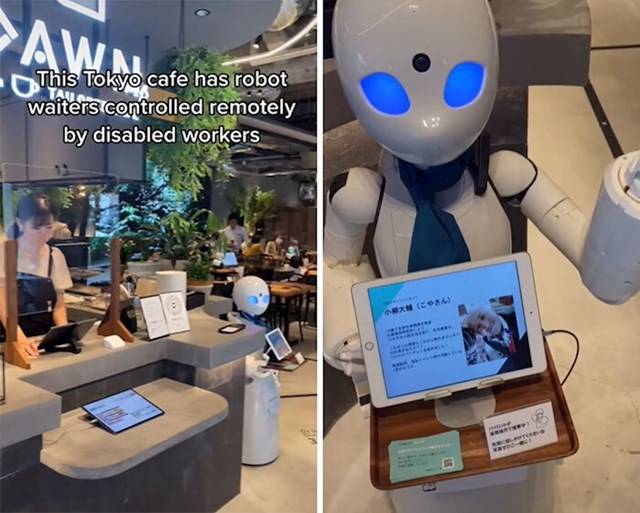Ezeket a robotokat fogyatékkal élő emberek irányítják, akik fizetést kapnak ezért.