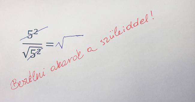 Ebből így nem lesz érettségi...😂