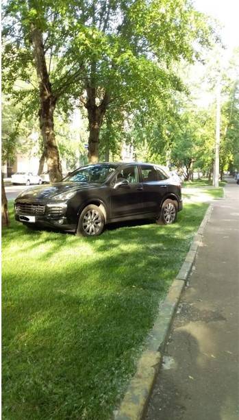„Alig egy hete fektették le az új gyepet, és máris ez történt."