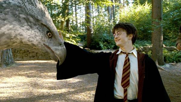 Kit simogat itt Harry?