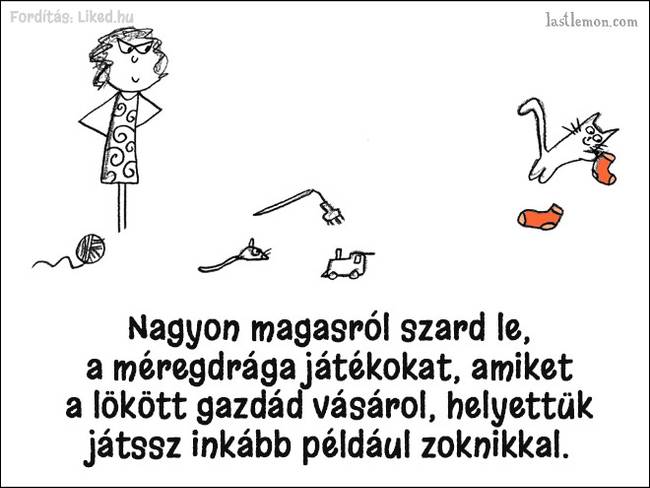 20 humoros illusztráció, ami megmutatja, hogyan kell jó macskának lenni