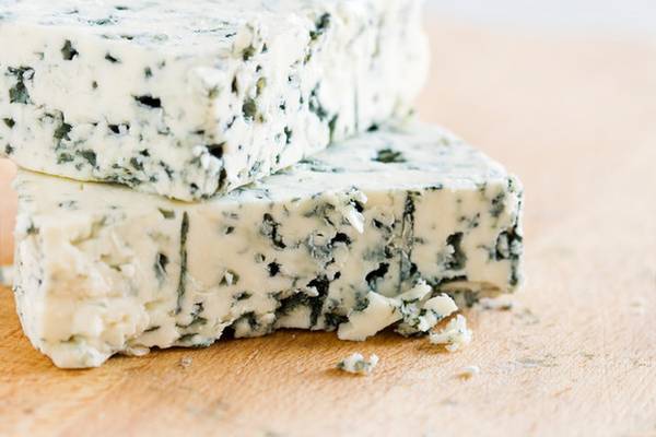 Gorgonzola sajt