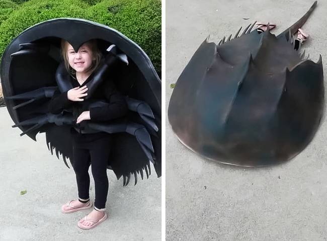 „A kislányom tőrfarkú ráknak akart öltözni idén halloweenkor."