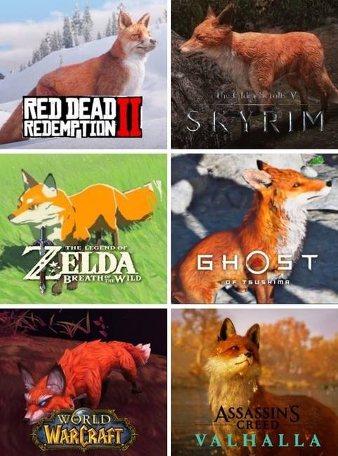 Hogyan néznek ki a rókák a különféle videojátékokban?