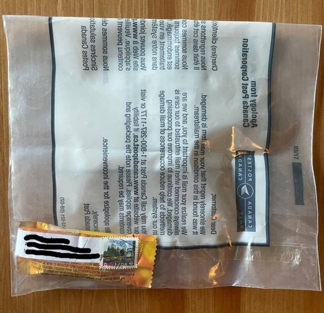 „Az öcsém bélyeget és címet rakott egy kis csokira, a posta pedig kihozta."