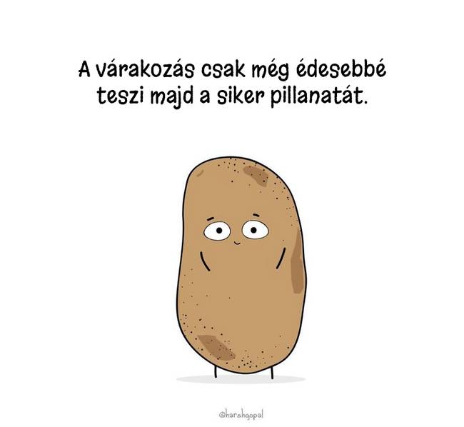 15 életre szóló igazság, egy aranyos és bölcs krumplitól