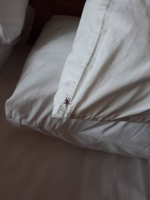 Csak egy aprócska hímzés, amit az éjszaka közepén könnyű összekeverni egy éppen életünkre törő pókkal.