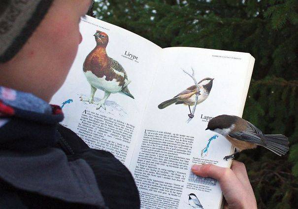 Így azért sokkal könnyebb dolga van a természetjárónak…😛