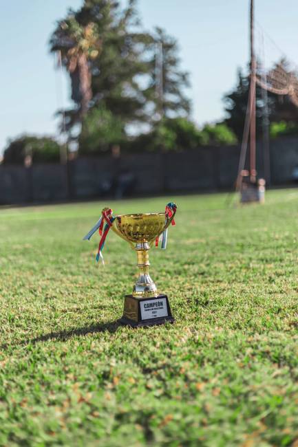 trofea