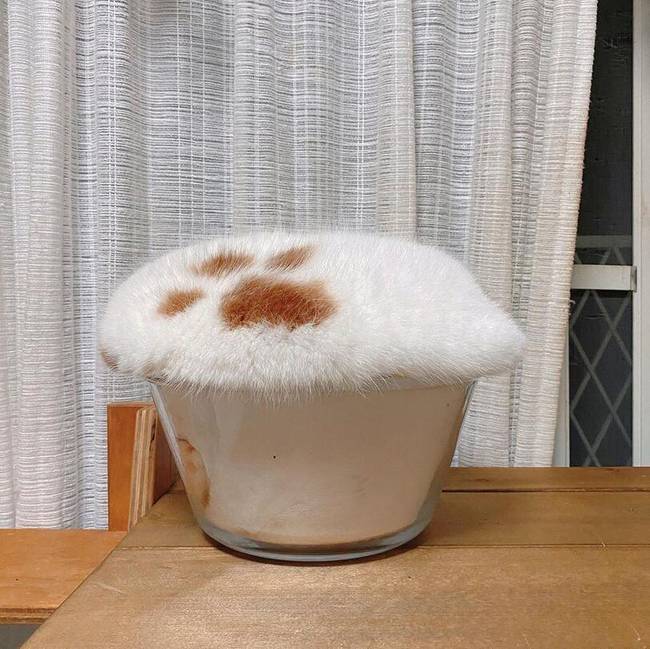 A macskák muffinoknak is tökéletesek.