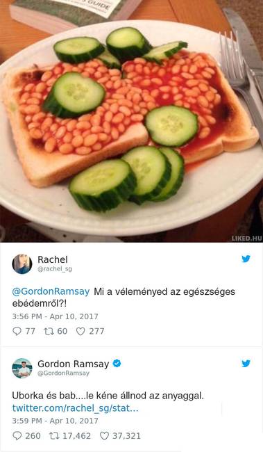 16 személy, aki jó ötletnek tartotta beküldeni a főztjét Gordon Ramsay Twitter oldalára