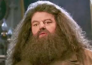 Hagrid
