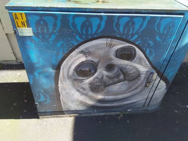 „Aucklandben sétáltam, amikor rábukkantam erre az aranyos graffitire."