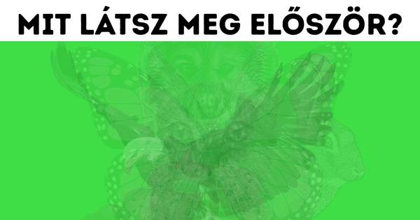 Melyik allatot latod meg eloszor