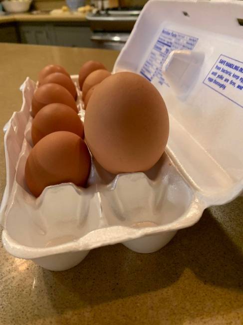 „Bolti tojások a tyúkom ma reggel rakott tojásához képest."