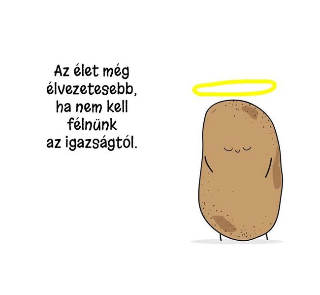 15 életre szóló igazság, egy aranyos és bölcs krumplitól