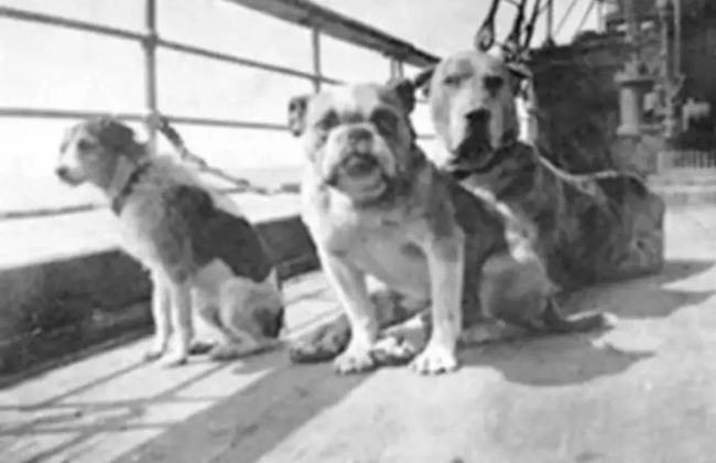 Tények a Titanicról 023