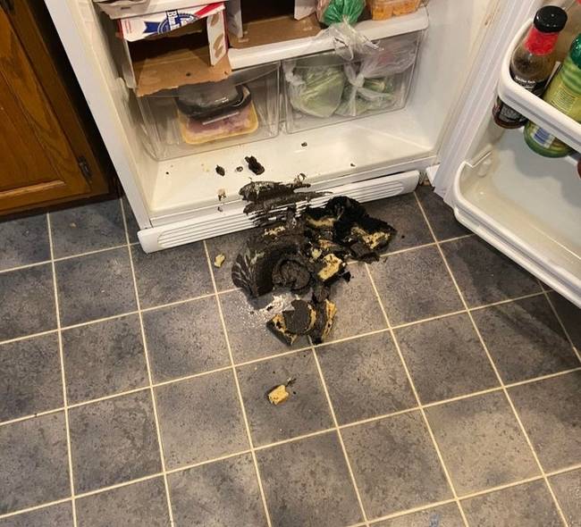 „4 órát töltöttem ennek a születésnapi tortának az elkészítésével. Amint kész lett, eldobtam."