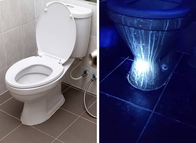 „Így néz ki a munkahelyi WC-m egy UV zseblámpa fényénél."