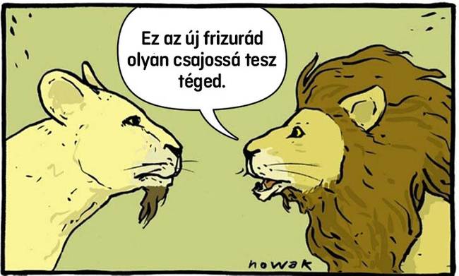 csajos frizura