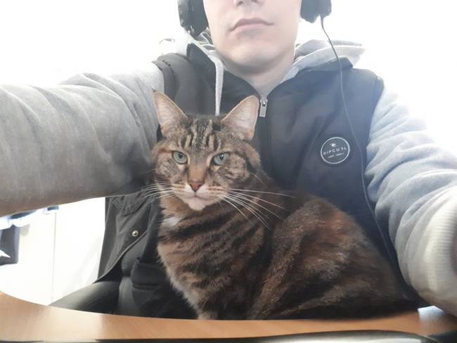 15 vicces alkalom, amikor a házi karantén alatti videohívások totális kudarcba fulladtak