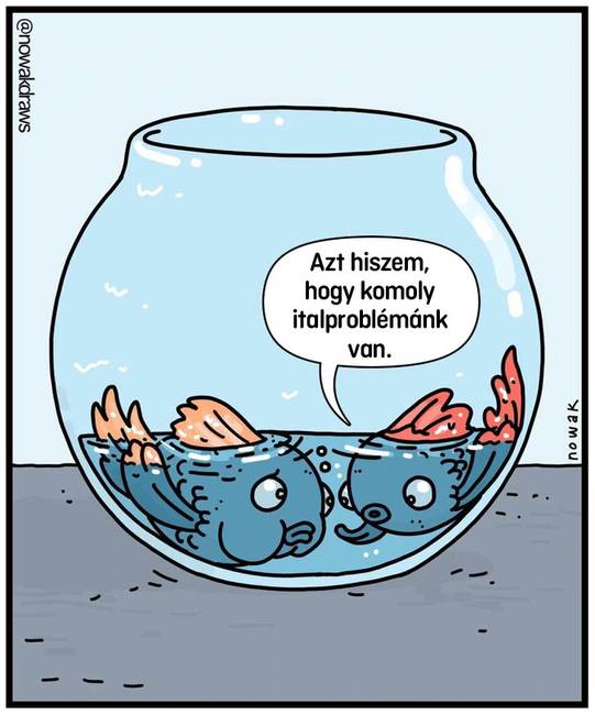 probléma az itallal