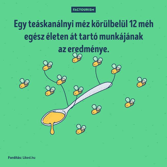 25+ őrült tény a világról, ami még a tapasztalt tudósokat is sokkolja