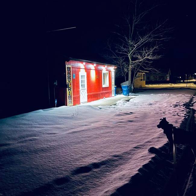 „Csak egy képet akartam készíteni kutyasétáltatás közben, de véletlenül lefotóztam egy hullócsillagot."