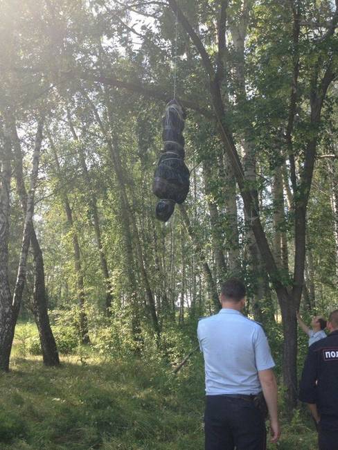 Valaki úgy döntött, hogy megszívatja a környéken élőket és a fára lógatja a szemetet. Félelmetes fotó.