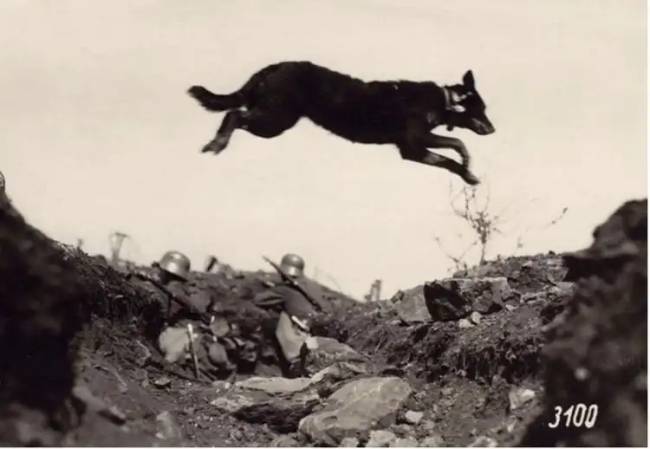 Furcsa régi fotók 004