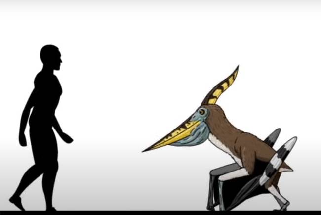 Bár a Pteranodon nem a legnagyobb volt a pteroszauruszok között, szárnyának fesztávolsága így is elérhette a 7 métert.