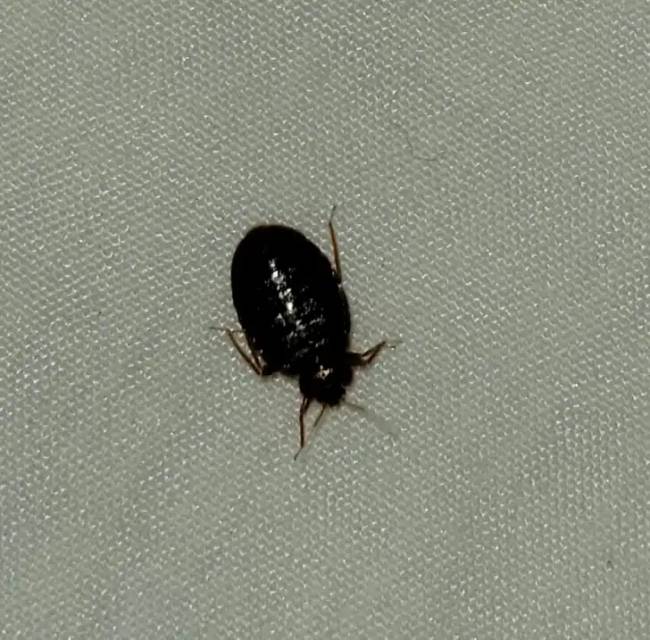Szállodai meglepetések 020.webp