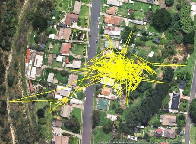 Bónusz: egy házi macska napi mozgása GPS-es nyomkövetővel rögzítve.