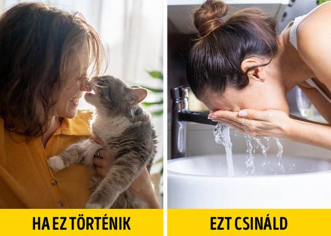Kutyák és macskák nyála