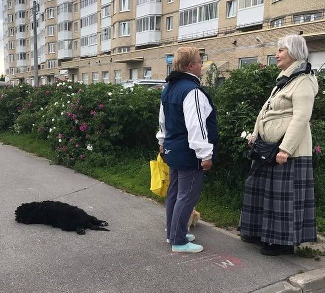 „Amikor anyám találkozik egy barátnőjével, és úgy dönt, hogy 'egy kicsit' beszélget vele."