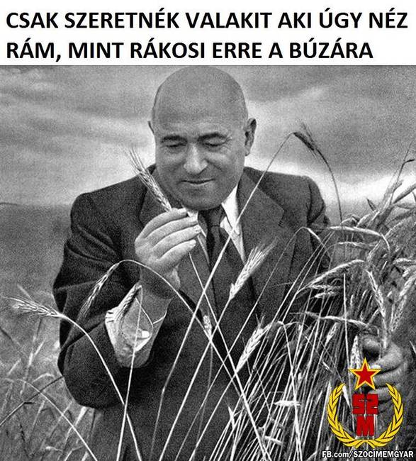 30 szocialista mém, amit csak a történelemben jártas emberek érthetnek igazán