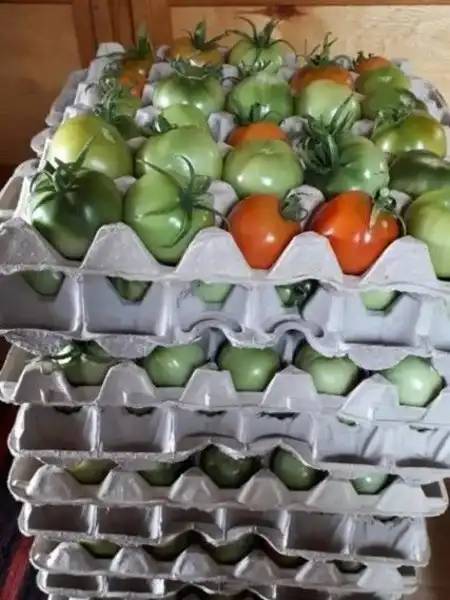 Hogyan jutott ez eszükbe? 20 ötletes megoldás kertbe és nyaralóba