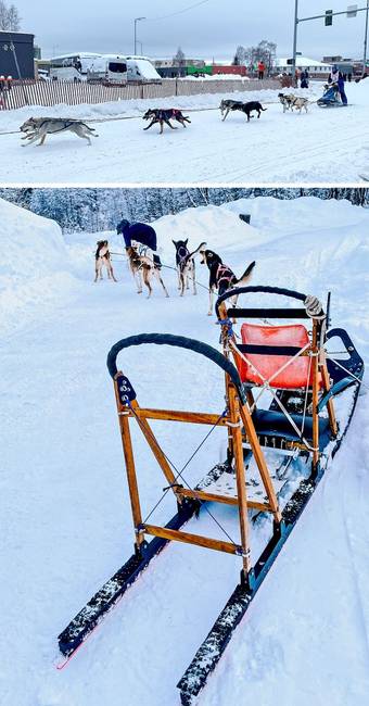 „Anchorage-ben, a városban, ahol élek, minden évben megrendezik a leghíresebb kutyaszánhúzó versenyt, az Iditarod-ot."