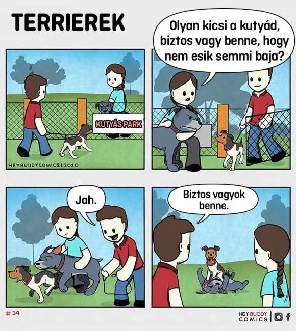 Terrierek